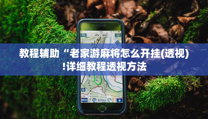 实测辅助”边锋干瞪眼有可能作弊吗”(详细开挂教程)