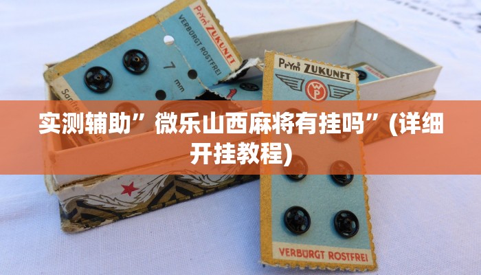 实测辅助”来玩德州看牌器”(详细开挂教程)