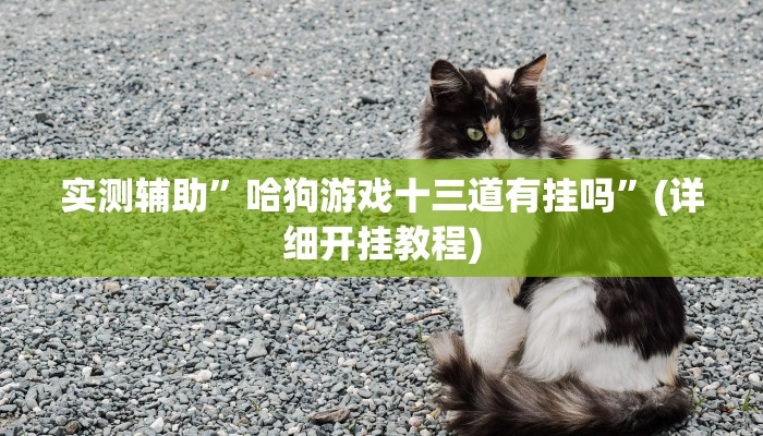 实测辅助”德扑之星德州app开挂透视下载”(详细开挂教程)