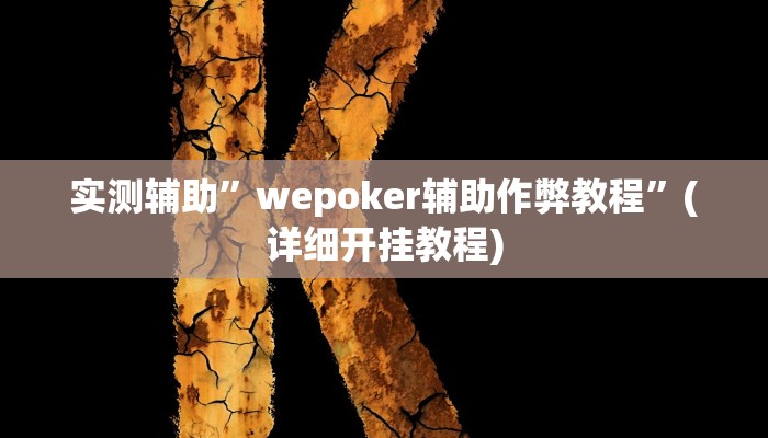 实测辅助”wepoker有挂(透视)吗”(详细开挂教程)