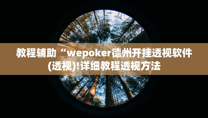 教程辅助“新天道开挂(透视)!详细教程透视方法