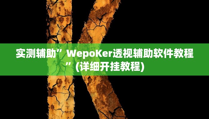 实测辅助”WepoKer透视辅助软件教程”(详细开挂教程)