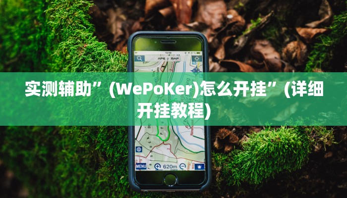实测辅助”微乐跑得快有挂吗怎么开挂”(详细开挂教程)