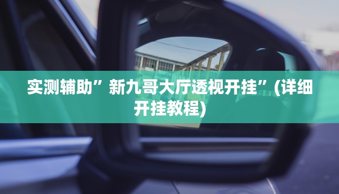 实测辅助”东游大厅透视挂”(详细开挂教程)