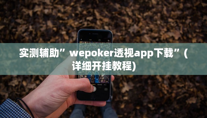 实测辅助”德扑之星私人局作弊透视挂”(详细开挂教程)