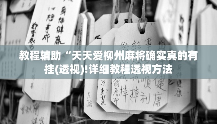 教程辅助“天天爱柳州麻将确实真的有挂(透视)!详细教程透视方法