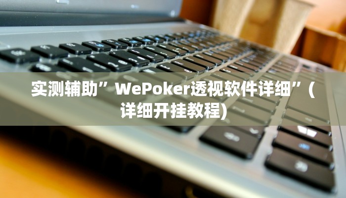 实测辅助”WePoker透视软件详细”(详细开挂教程)