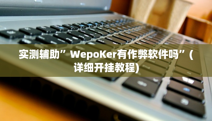 实测辅助”德扑之星辅助开挂”(详细开挂教程)
