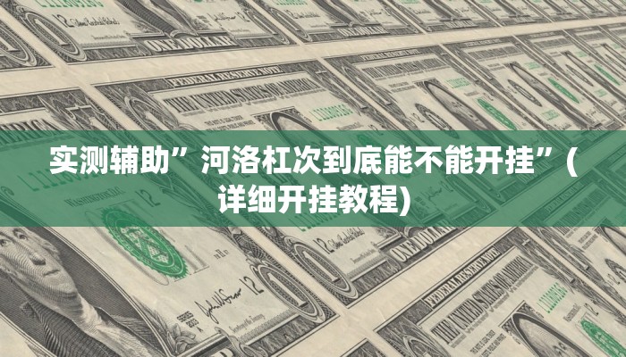 实测辅助”河洛杠次到底能不能开挂”(详细开挂教程)