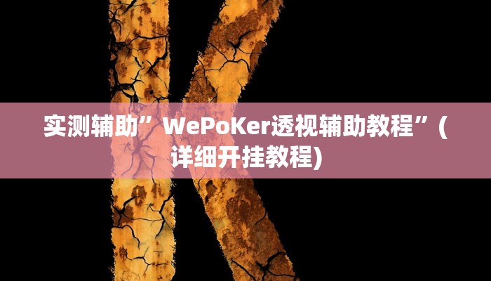 实测辅助”WePoKer透视辅助教程”(详细开挂教程)