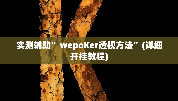 实测辅助”wepoKer透视方法”(详细开挂教程)