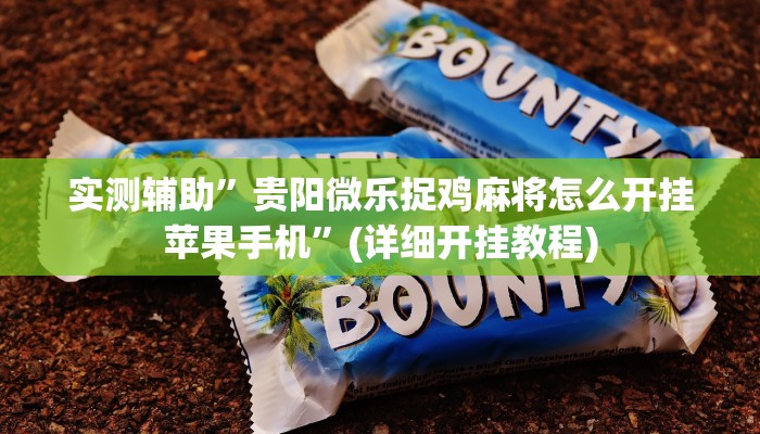辅助神器“AApoker辅助透视作弊软件”其实确实有挂