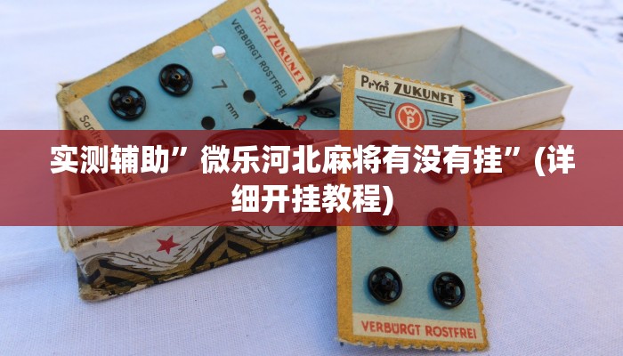 实测辅助”微乐河北麻将有没有挂”(详细开挂教程)