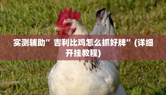 实测辅助”吉利比鸡怎么抓好牌”(详细开挂教程)