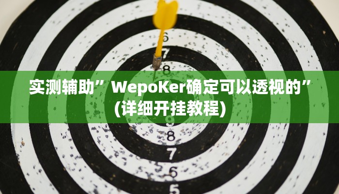 实测辅助”WepoKer确定可以透视的”(详细开挂教程)