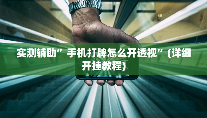 实测辅助”手机打牌怎么开透视”(详细开挂教程)