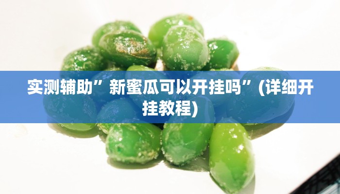 实测辅助”新蜜瓜可以开挂吗”(详细开挂教程)