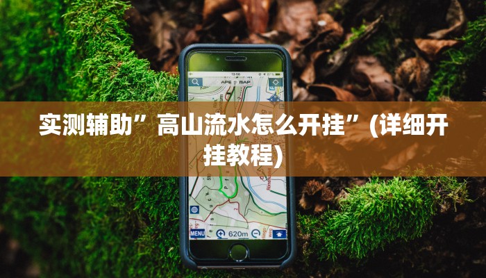 实测辅助”高山流水怎么开挂”(详细开挂教程)