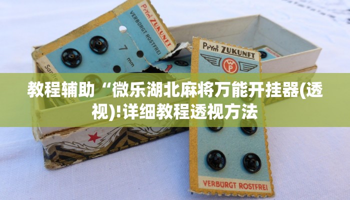 教程辅助“微乐湖北麻将万能开挂器(透视)!详细教程透视方法