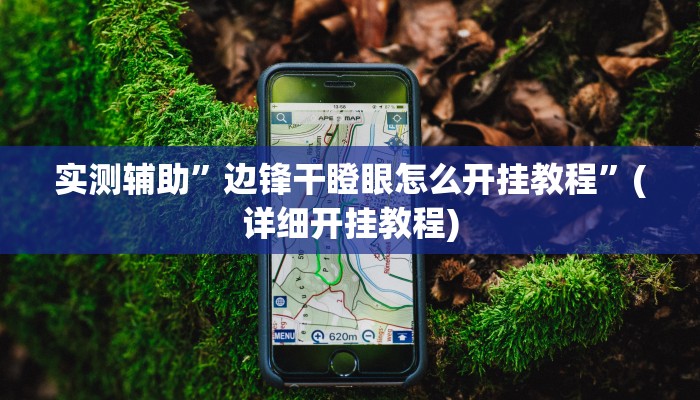 实测辅助”边锋干瞪眼怎么开挂教程”(详细开挂教程)