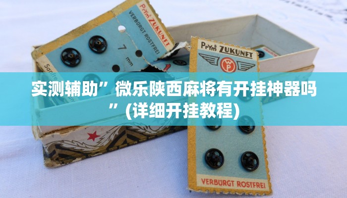 实测辅助”微乐陕西麻将有开挂神器吗”(详细开挂教程)