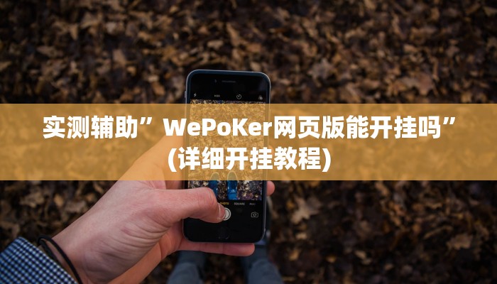 实测辅助”WePoKer网页版能开挂吗”(详细开挂教程)