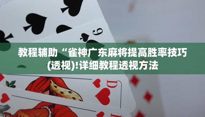 教程辅助“雀神广东麻将提高胜率技巧(透视)!详细教程透视方法
