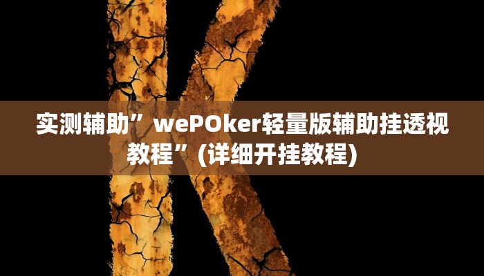 实测辅助”wePOker轻量版辅助挂透视教程”(详细开挂教程)