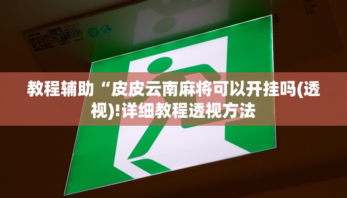 教程辅助“皮皮云南麻将可以开挂吗(透视)!详细教程透视方法