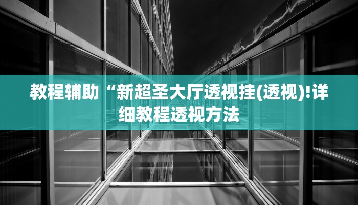 教程辅助“新超圣大厅透视挂(透视)!详细教程透视方法