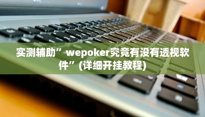 实测辅助”wepoker究竟有没有透视软件”(详细开挂教程)