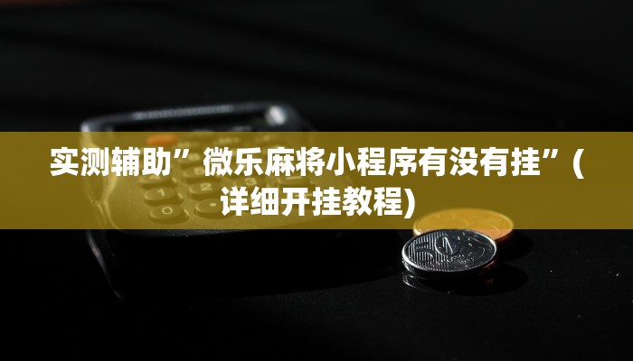 实测辅助”欢乐龙城3开挂神器”其实确实有挂
