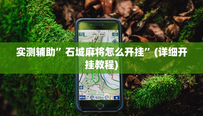 实测辅助”石城麻将怎么开挂”(详细开挂教程)