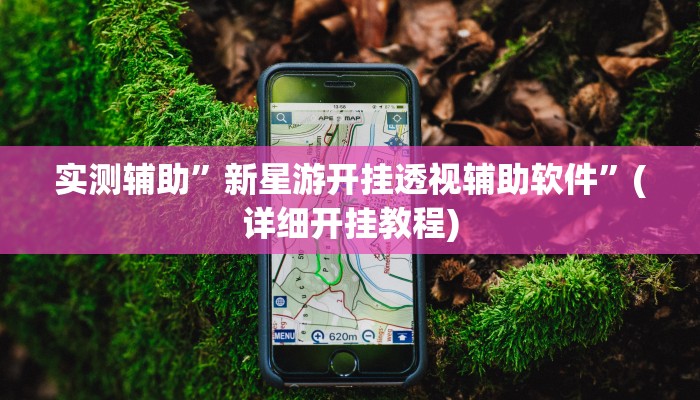 实测辅助”新星游开挂透视辅助软件”(详细开挂教程)