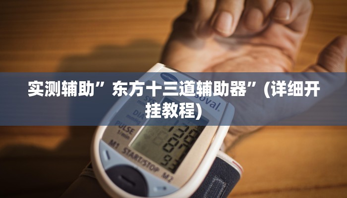 实测辅助”东方十三道辅助器”(详细开挂教程)