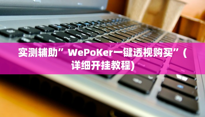 实测辅助”WePoKer一键透视购买”(详细开挂教程)