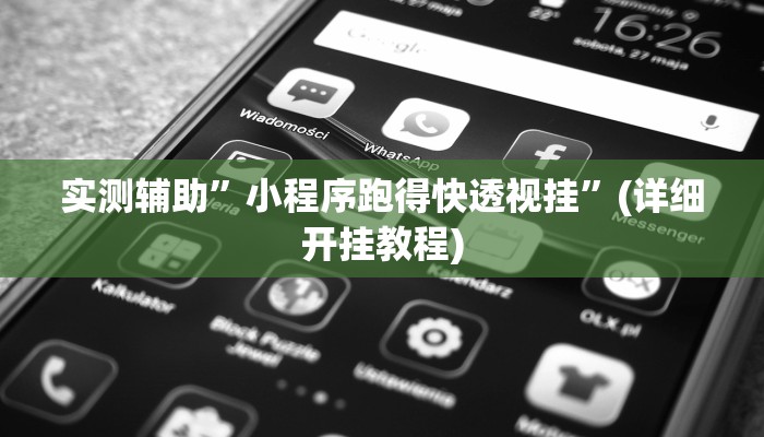 实测辅助”小程序跑得快透视挂”(详细开挂教程)