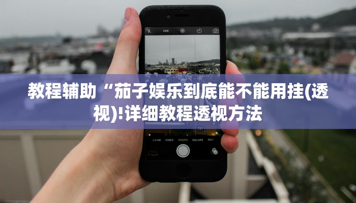 教程辅助“茄子娱乐到底能不能用挂(透视)!详细教程透视方法