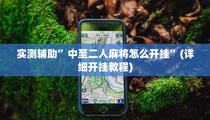 实测辅助”中至二人麻将怎么开挂”(详细开挂教程)