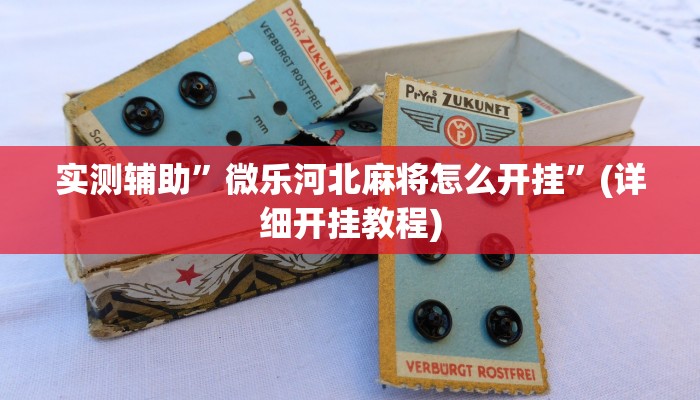 实测辅助”微乐河北麻将怎么开挂”(详细开挂教程)