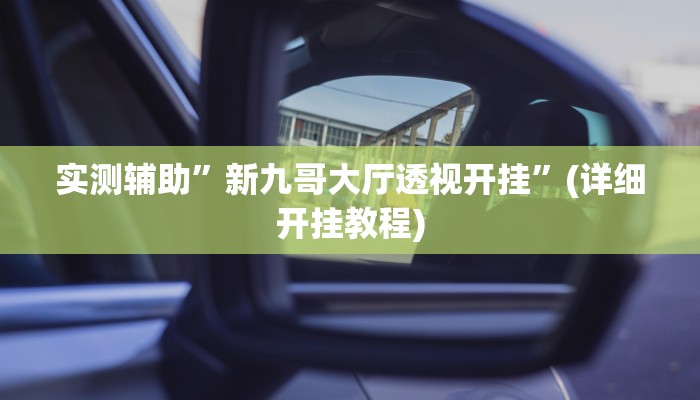 实测辅助”新九哥大厅透视开挂”(详细开挂教程)