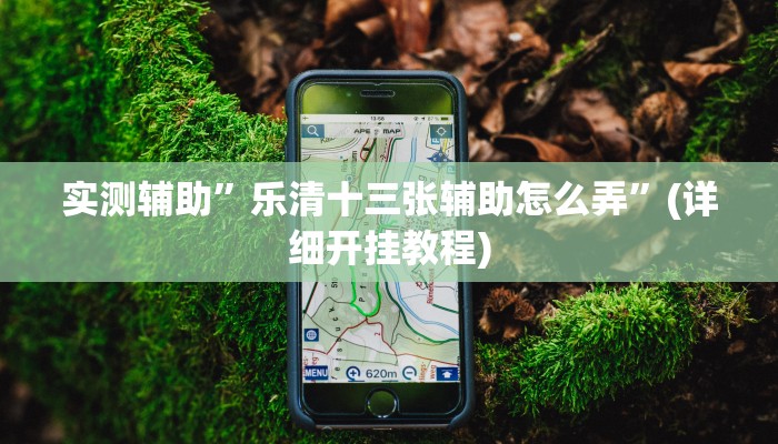 实测辅助”德扑之星究竟到底有没有挂”(详细开挂教程)