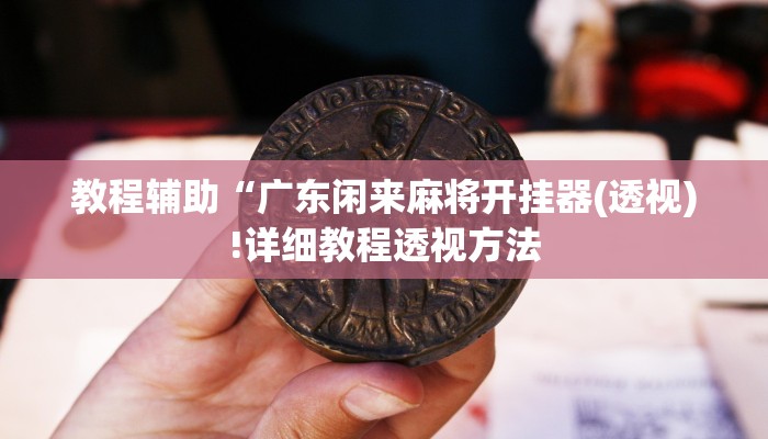 教程辅助“广东闲来麻将开挂器(透视)!详细教程透视方法