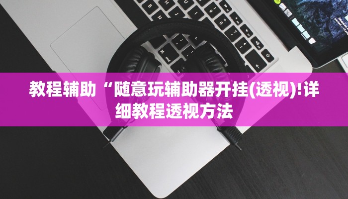教程辅助“随意玩辅助器开挂(透视)!详细教程透视方法