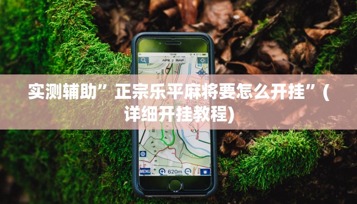 实测辅助”正宗乐平麻将要怎么开挂”(详细开挂教程)