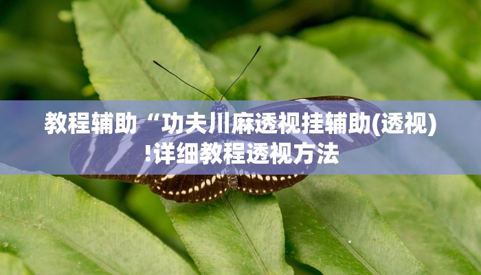 教程辅助“功夫川麻透视挂辅助(透视)!详细教程透视方法