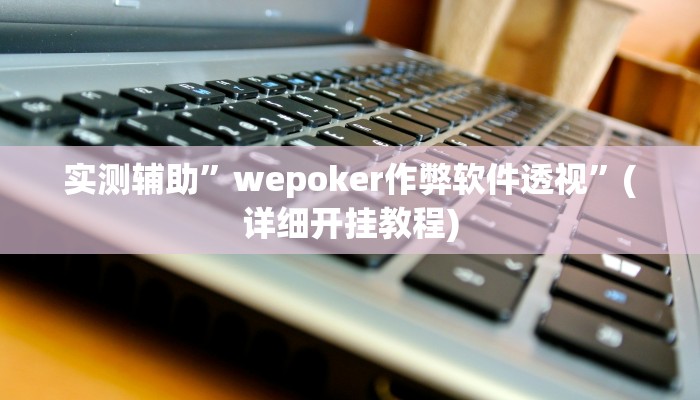 实测辅助”wepoker作弊软件透视”(详细开挂教程)