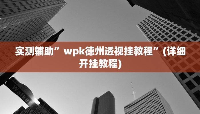 实测辅助”wpk德州透视挂教程”(详细开挂教程)