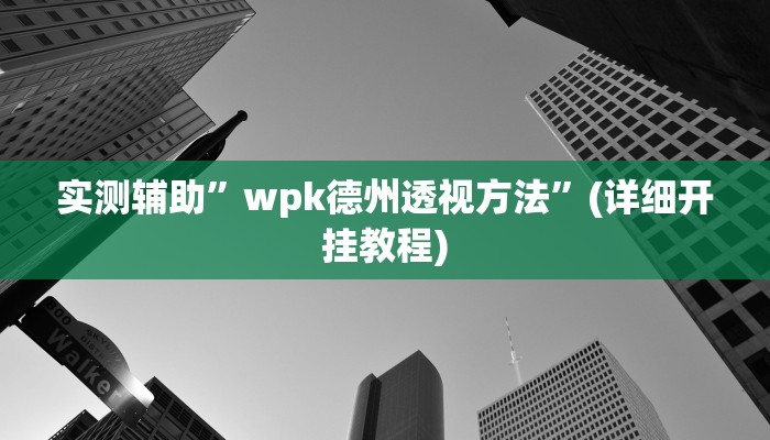 实测辅助”wpk德州透视方法”(详细开挂教程)