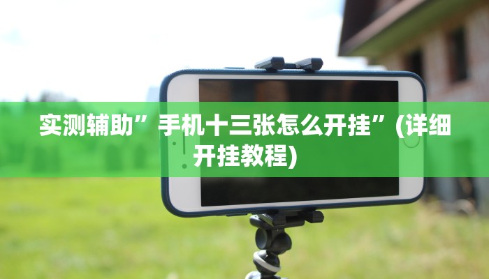 实测辅助”手机十三张怎么开挂”(详细开挂教程)
